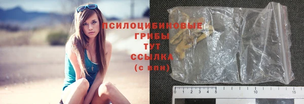 соль ск Алапаевск