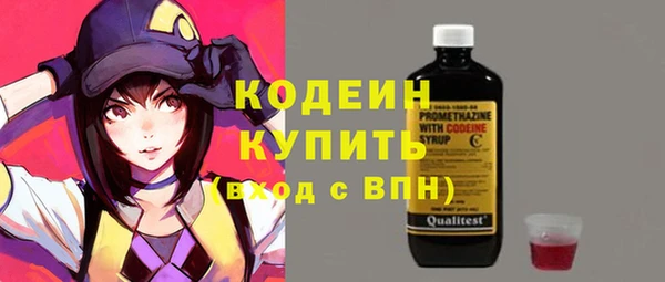 соль ск Алапаевск