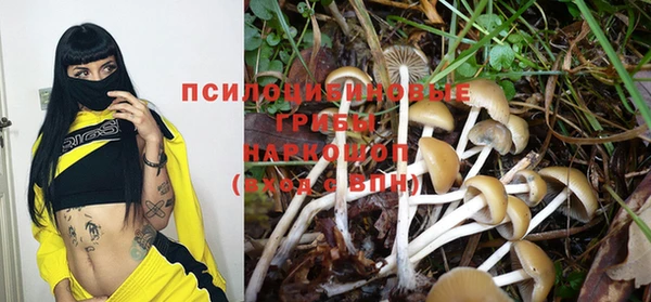 spice Алексеевка