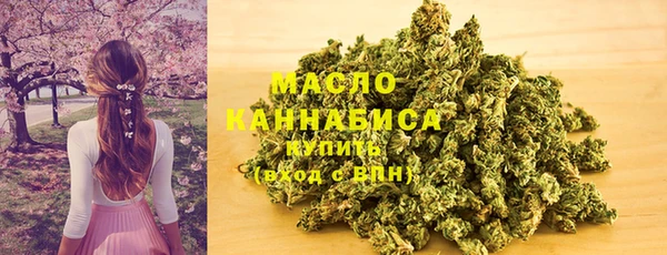 соль ск Алапаевск
