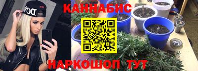 скорость Гай
