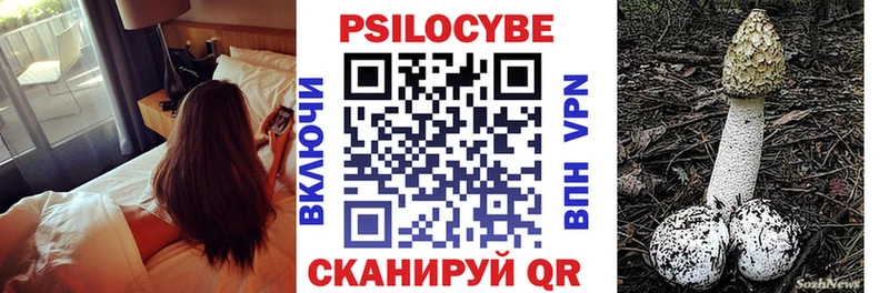 где купить   Звенигород  Псилоцибиновые грибы мухоморы 