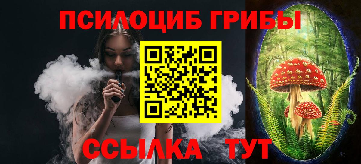 Звенигород  Галлюциногенные грибы Psilocybe  Вход с VPN 